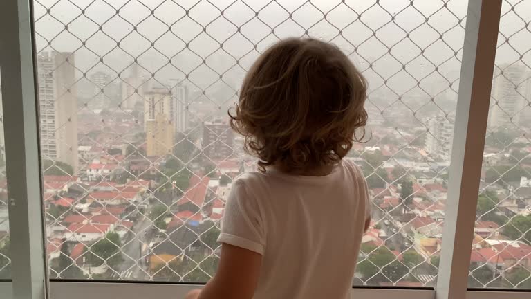 Safety Nets in Hyderabad